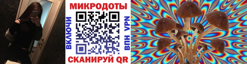 Галлюциногенные грибы Magic Shrooms  Белая Холуница 